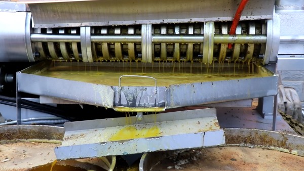 新款螺旋榨油機(jī) 四級榨 榨菜籽油效果