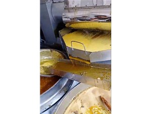 開辦一家榨油坊需要注意哪些事項？