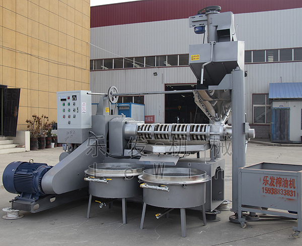 220V四級(jí)螺旋條排榨油機(jī)